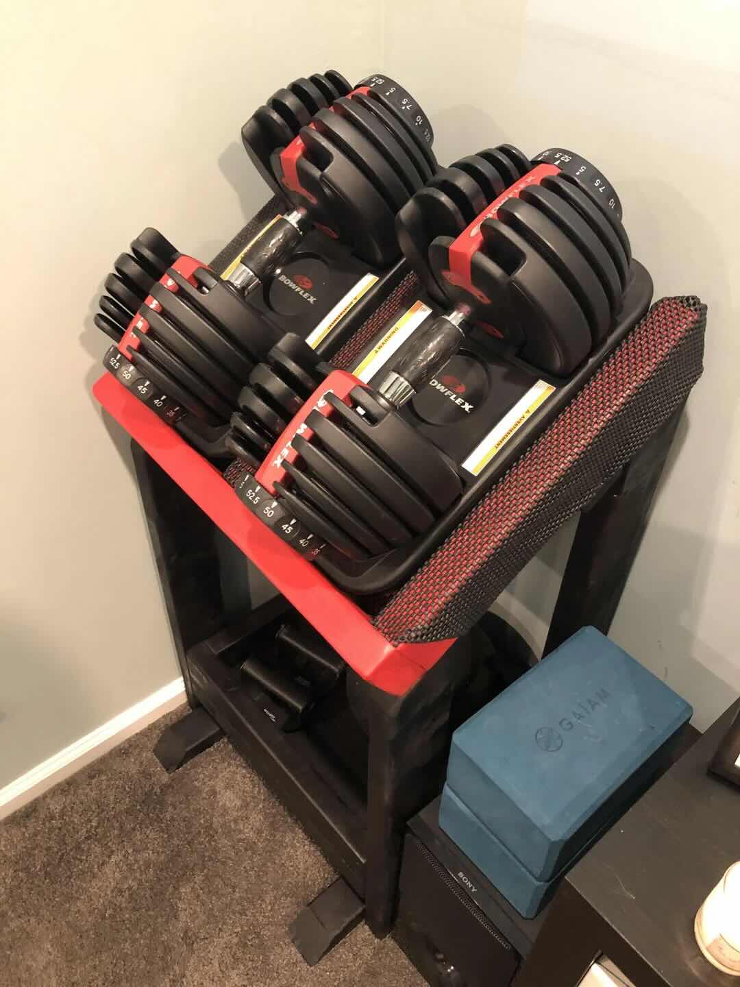 Bowflex SelectTech 552 Dumbbells