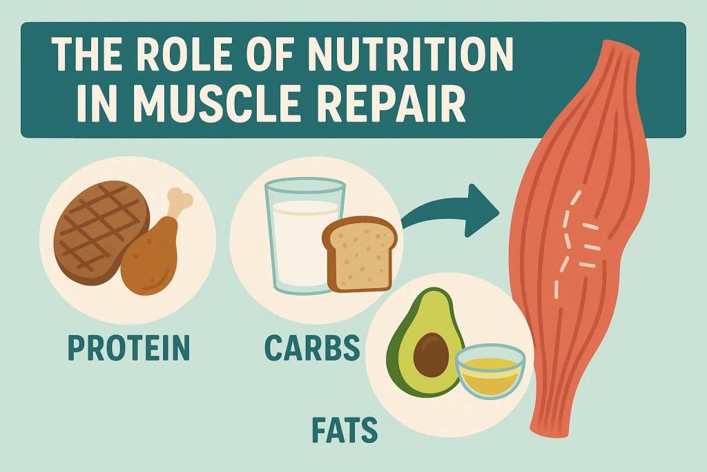 The Role of Nutrition in Muscle Repair
