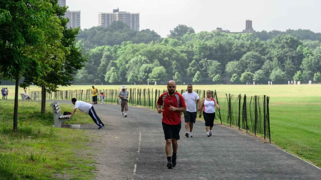 Van Cortlandt Park Outdoor Gym